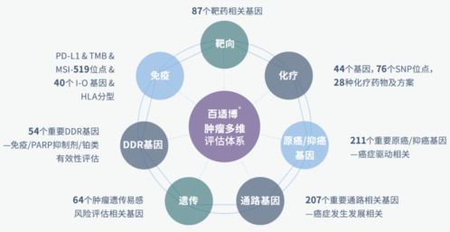 臻和科技獲超十億元E輪融資，加速腫瘤診斷產品研發及信息技術咨詢服務升級