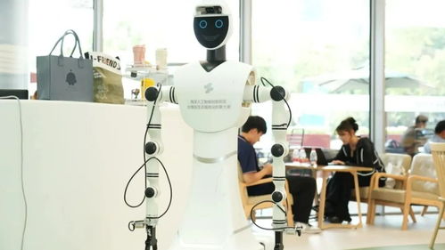 科技賦能法治 信息技術咨詢服務引領創新，讓發展有“法”更安心