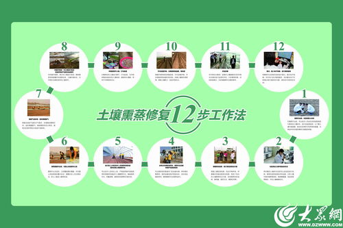 濰坊模式顯成效 全國首個生姜土壤熏蒸服務規范出爐，信息技術賦能農業新篇章